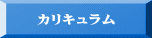 カリキュラム 